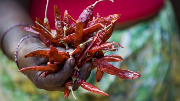 Dried red chilies are a signature ingredient of Sri Lankan food.