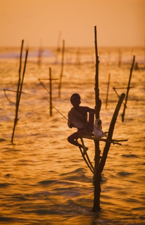 A lone stilt fisherman, Sri lanka.