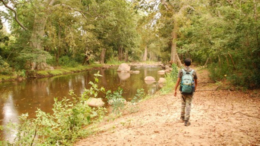 Trekking at Chinnar National Park.