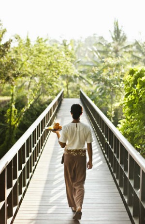 A bridge in Ubud, Bali.