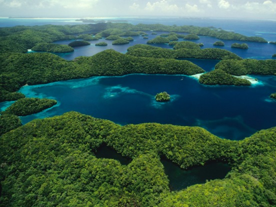 Aerial view of Jellyfish Lake, Palau, Micronesia.