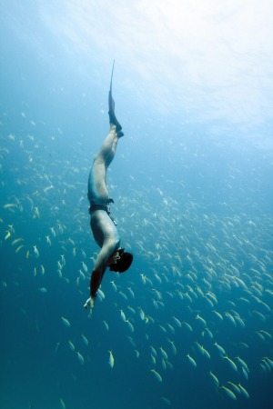 Free-divers aim for a Zen-like state to help them go ever deeper.