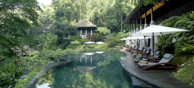 The pool at Maya Ubud.