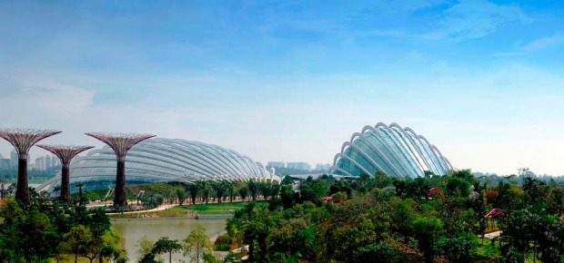 The Gardens by the Bay features an imposing canopy of 18 steel Supertrees that range from 25 metres to 50 metres high, ...