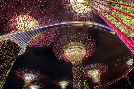 The Supertree Grove illuminated at Gardens by the Bay's Light and Sound show. The free nightly light and sound display ...