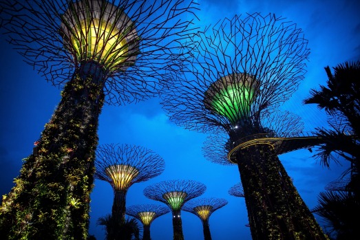 Singapore's Gardens by the Bay.