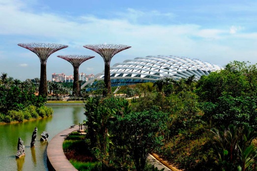 The Gardens by the Bay features an imposing canopy of 18 steel Supertrees that range from 25 metres to 50 metres high, ...