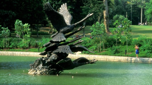 Swan Lake in the Singapore Botanic Gardens.