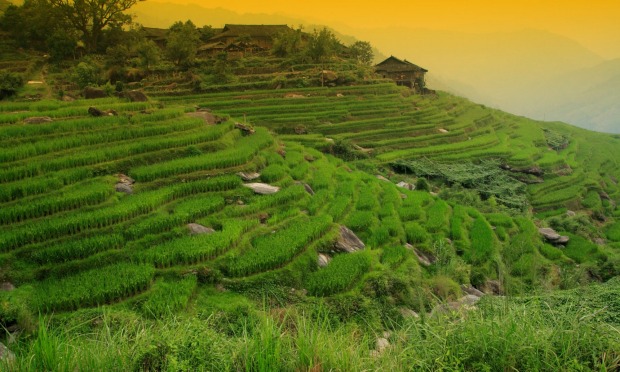 Truly gob smacking scenery: Get out of the main tourist areas, and see Bali's world heritage listed rice terraces, watch ...