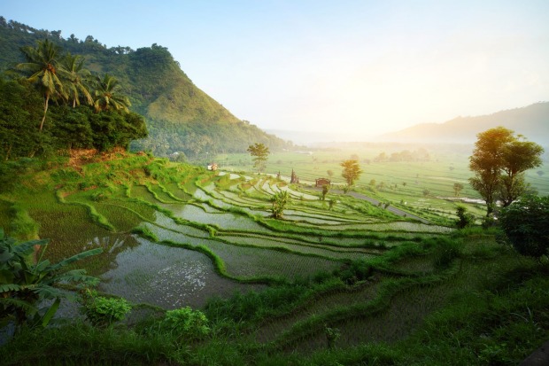 Truly gob smacking scenery: Get out of the main tourist areas, and see Bali's world heritage listed rice terraces, watch ...
