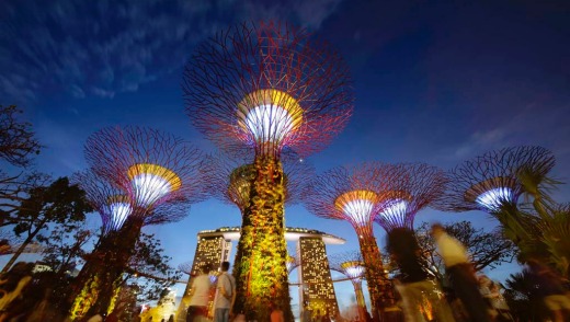 The 101-hectare gardens, situated at the heart of Singapore's Marine Bay, cost $773 million to build and house over a ...