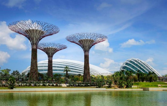 The Gardens by the Bay features an imposing canopy of 18 steel Supertrees that range from 25 metres to 50 metres high, ...