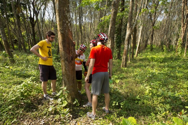 Learning about local rubber farms during a break.