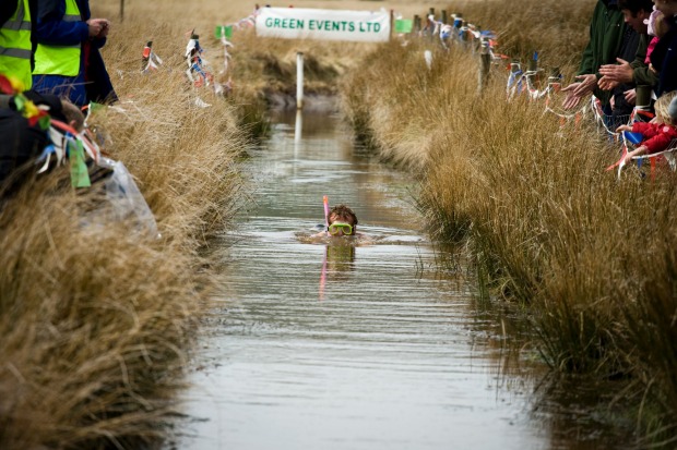 Cheering on a bog snorkeller in Wales.