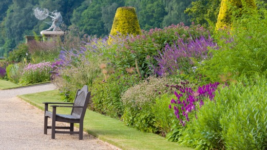 Trentham Gardens Long Borders were designed by eminent Dutch planter, Piet Oudolf.