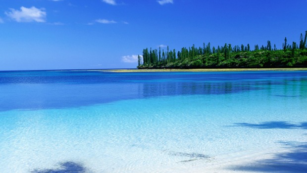 Araucaria pines on Kuto Peninsula across Kanumera Bay.