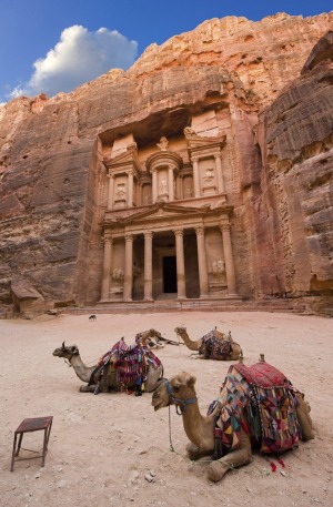Camels in front of the treasury at Petra, Jordan.