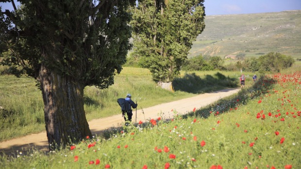 The Camino de Santiago.