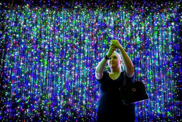 Over one million lights have been set up in Canberra's CBD officially breaking the Guinness World Record for the largest ...