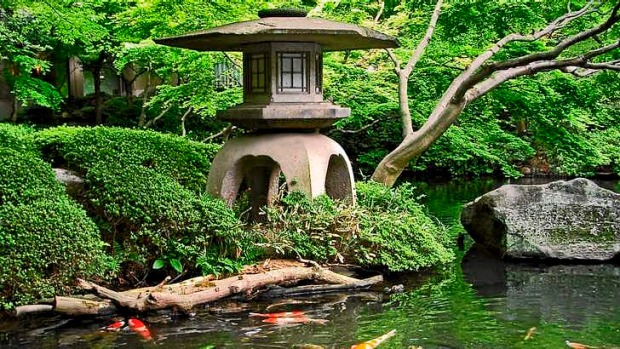 Green peace: Japanese gardens are traditionally places of contemplation.