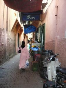 Alley scene in Marrakesh medina