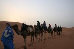 Camel train