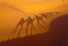 Shadows on the dunes