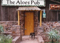 Bart guards the pub