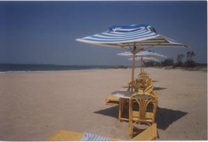 Typical Arabian Sea Beach