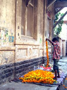 Mariolds, Bombay