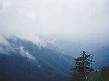 Shimla