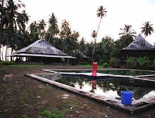 The Sorake Beach Hotel's murky pool