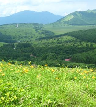 Some beautiful Kyushu countryside.