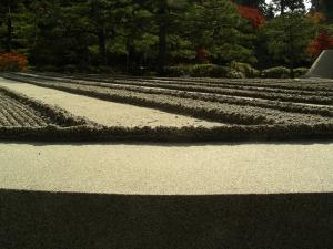 A Dry Garden