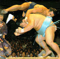 Sumo Action