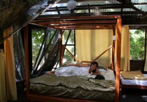Inside the treehouse
