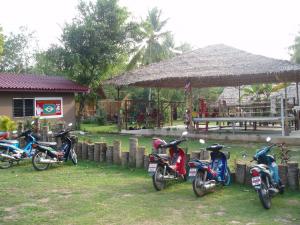 Chalong Chi's "jungle" gym