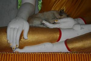 Lek in Buddha's Arms