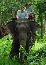 Elephant ride