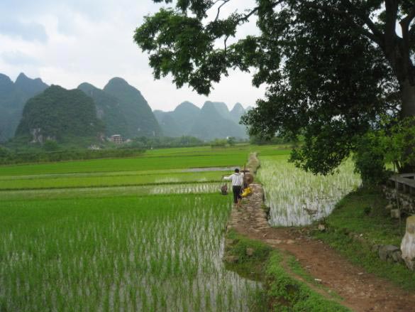 Beautiful Peaks of Yangshuo