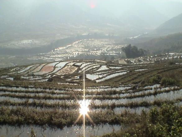 More Rice Terraces