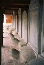Stone Stelae