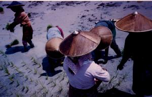 Shan women off the road to Mong La