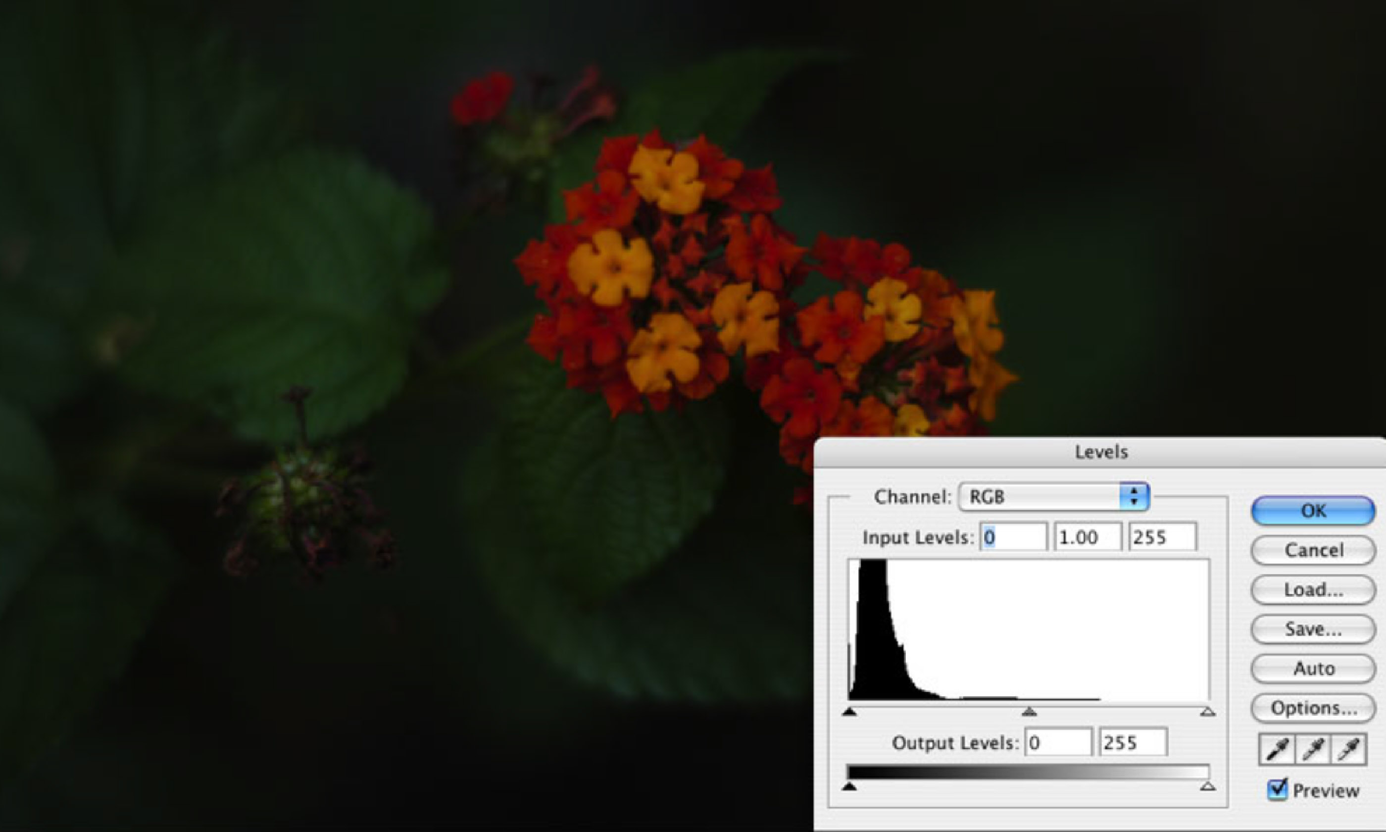 Histogram (Flickr C/C: Jason Parker)