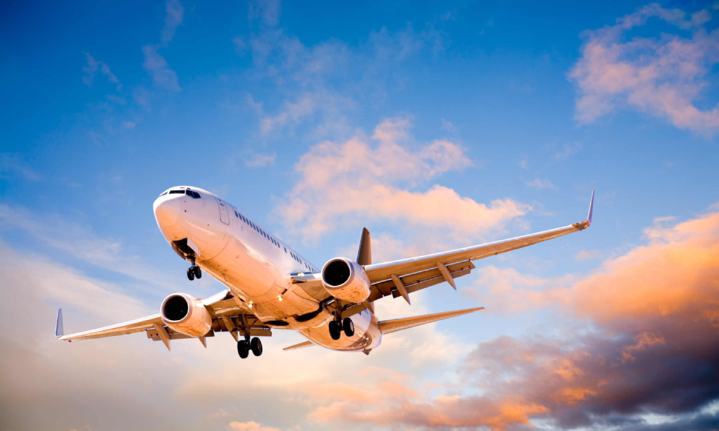 Flying at sunset (Shutterstock)