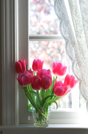 tulips flowers curtains window home