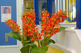 hotel indigo lobby flowers