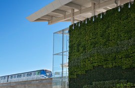 vancouver airport green wall