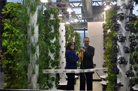 aeroponic garden ohare chicago