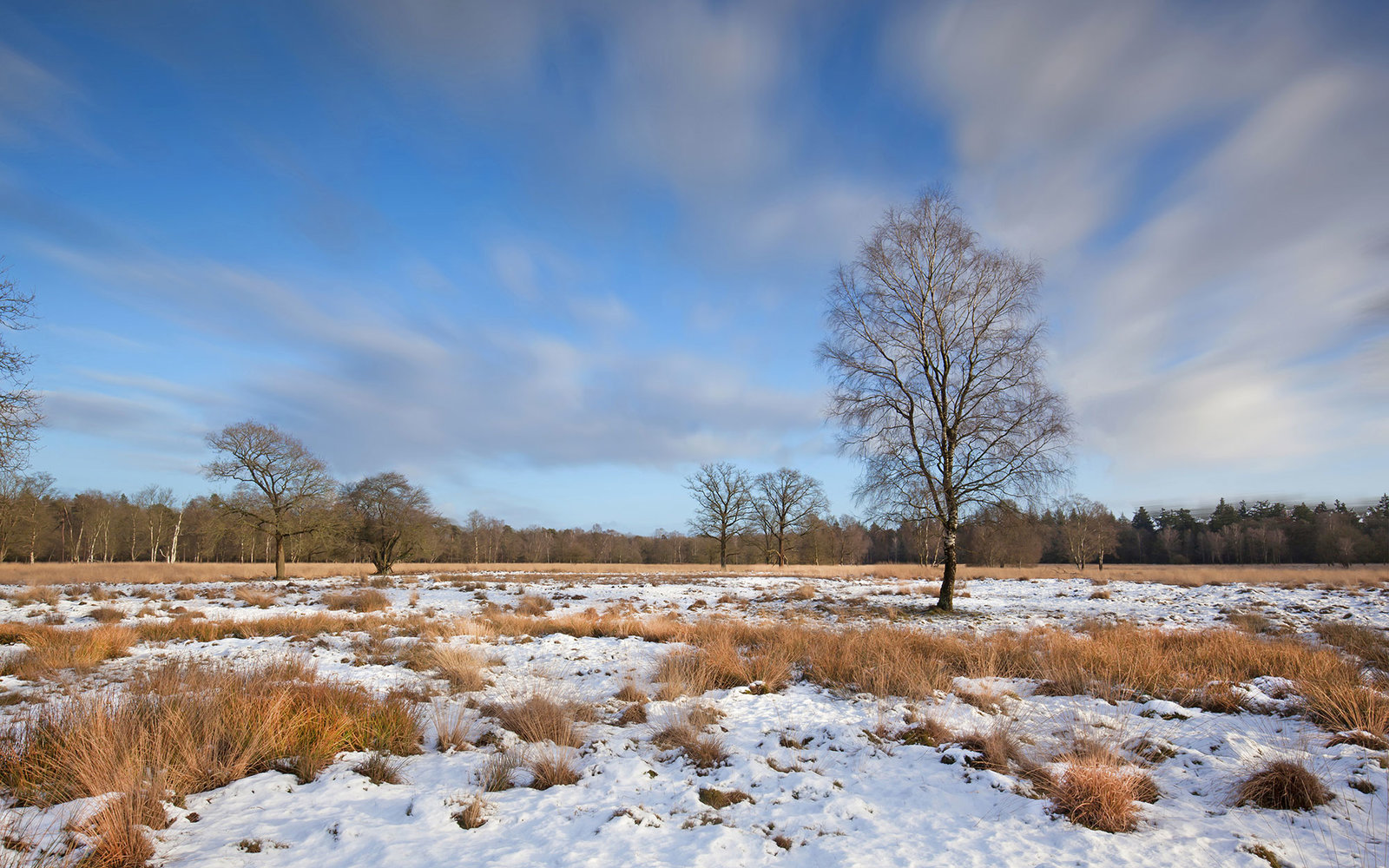 Sunny winter day in National Park de Hoge Veluwe